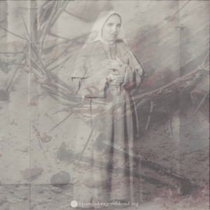 Foto de Formações Complementares: Vítima de Amor